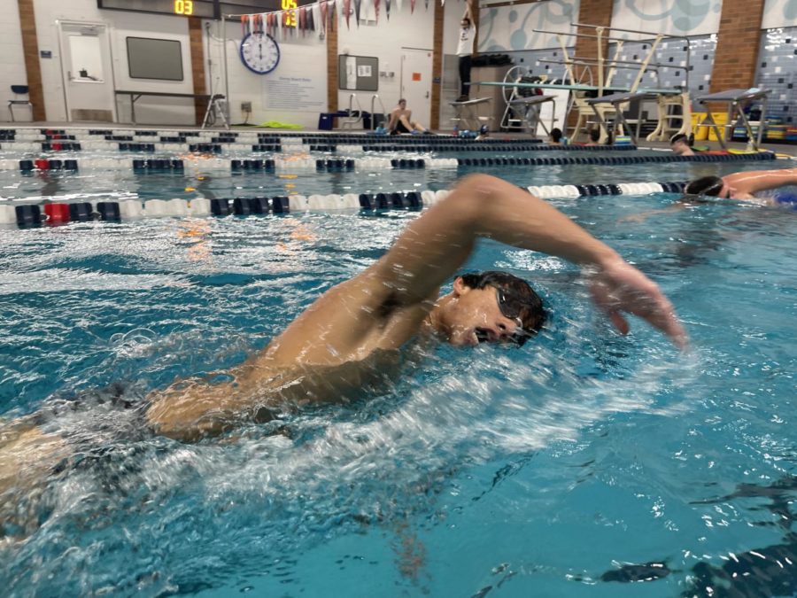 Senior Alex Bui swimming during a recent practice.