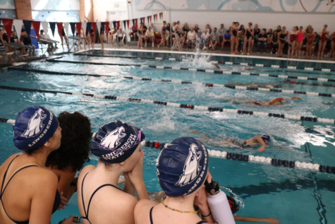 Lindbergh swimmers cheer on their teammates during a recent meet. Several schools are calling Lindbergh pool home for the season including Renton, Hazen and Kentridge.