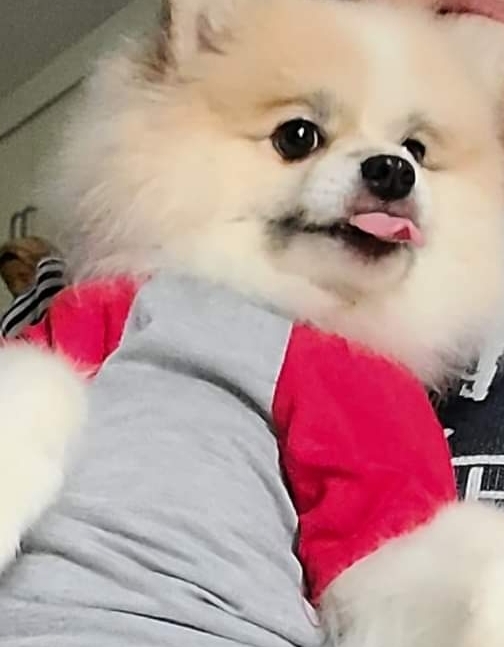 Pet of the Week 10/14