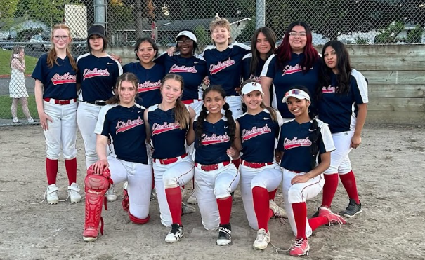 2025 fastpitch preview