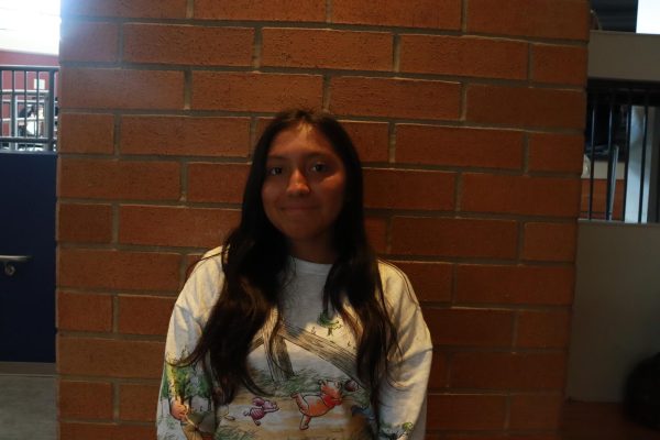 LHS Latinx club